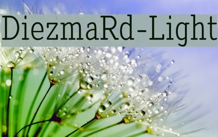 DiezmaRd-Light Example 1