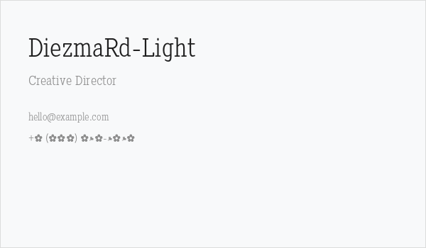 DiezmaRd-Light Business Card