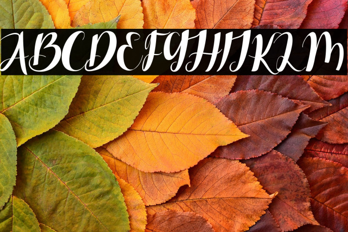 Differently Christmas Example 1