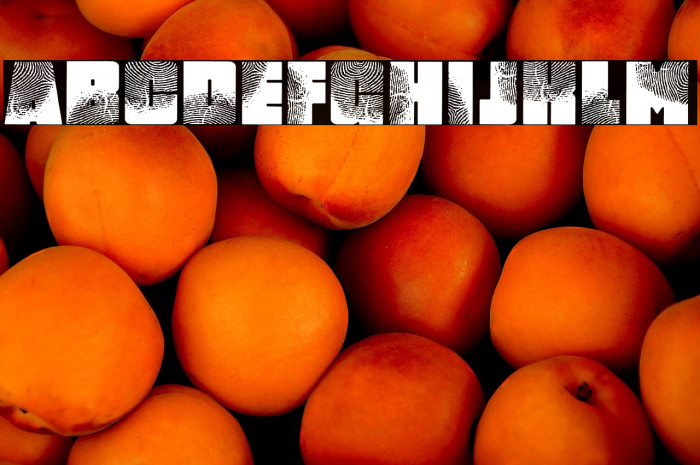 DigItAl FingerpRINT PERSONAL USE Regular Example 1