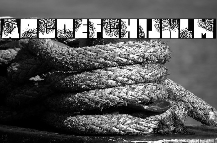 DigItAl FingerpRINT PERSONAL USE Regular Example 2