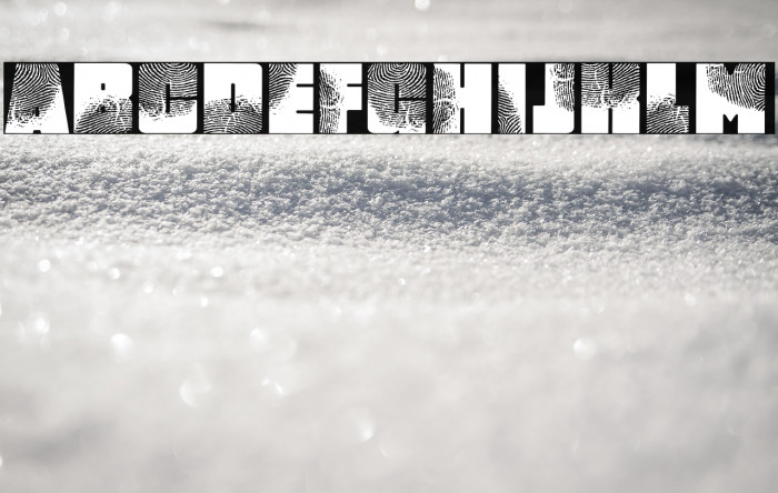 DigItAl FingerpRINT Regular Example 1