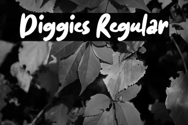 Diggies Regular Example 3