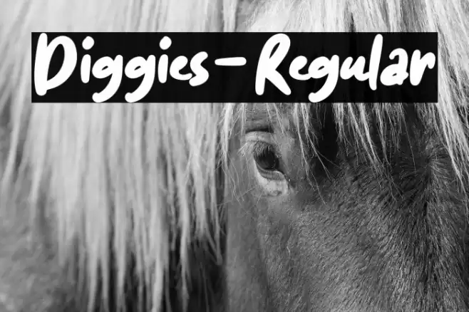 Diggies-Regular Font examples