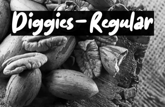 Diggies-Regular Font examples