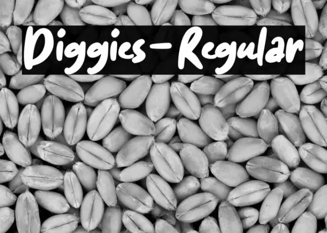 Diggies-Regular Font examples
