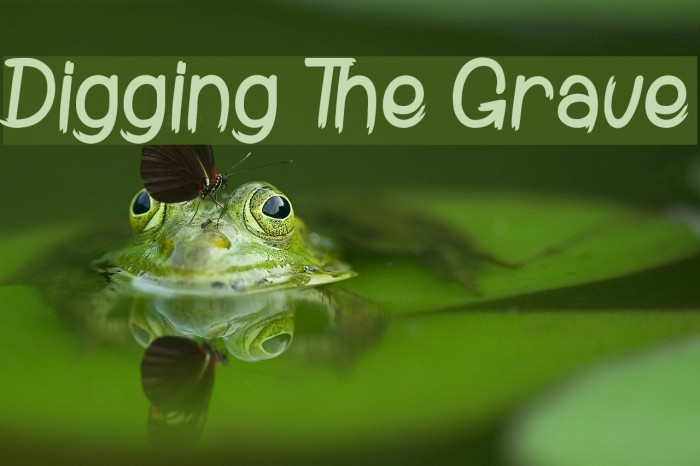 Digging The Grave Example 1