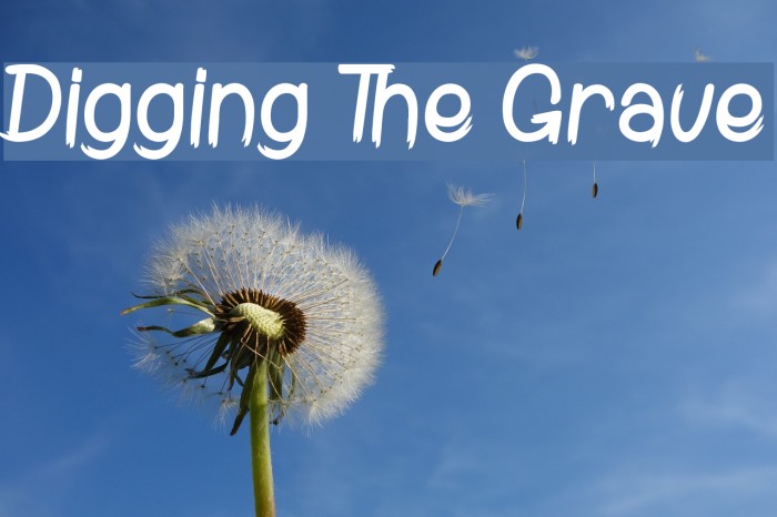 Digging The Grave Example 2