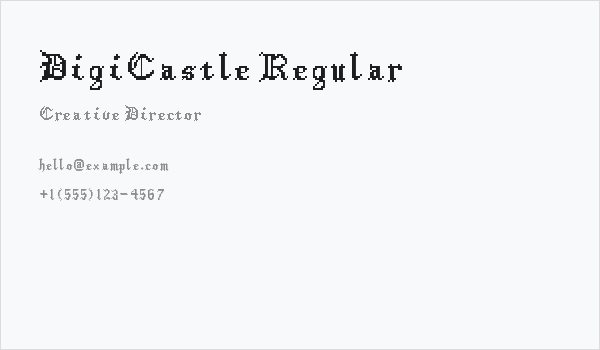 DigiCastle Regular Business Card