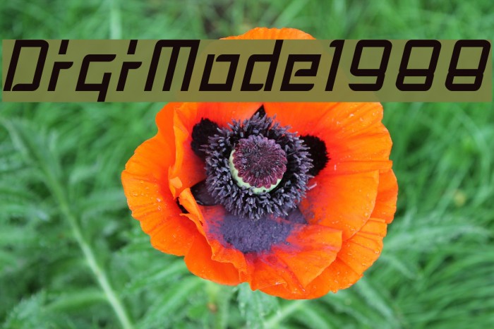 DigiMode1988 Font examples