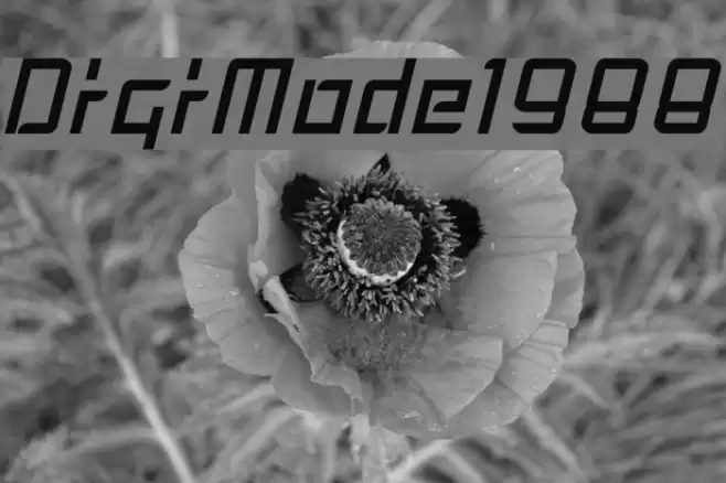 DigiMode1988 Font examples