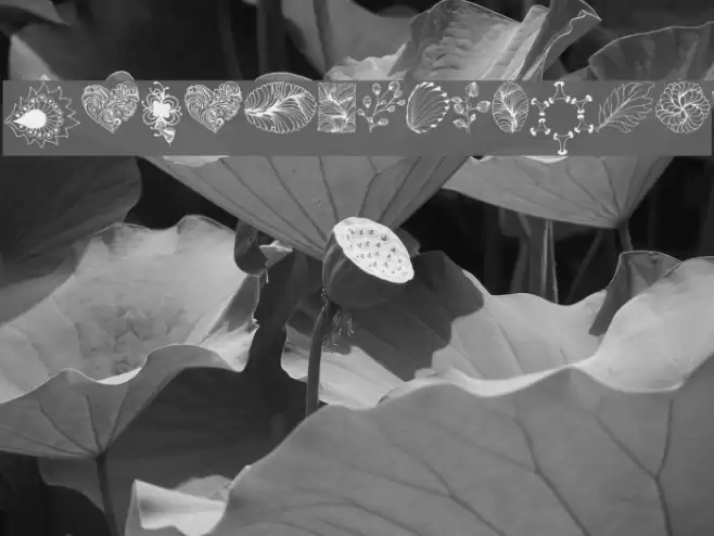 DigiStampsOne Font examples