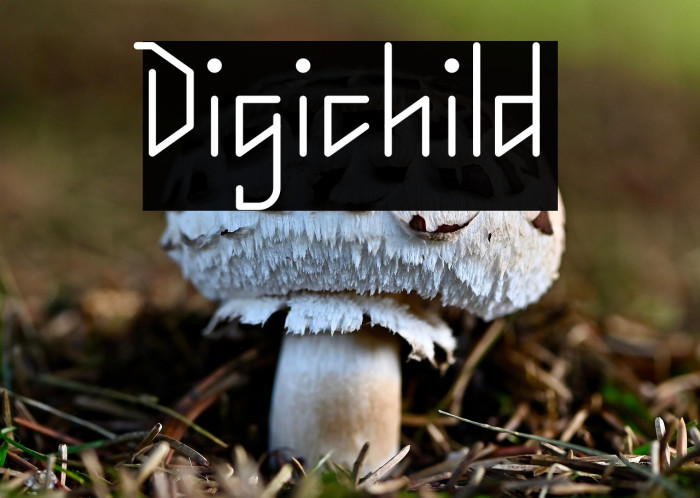 Digichild Example 1