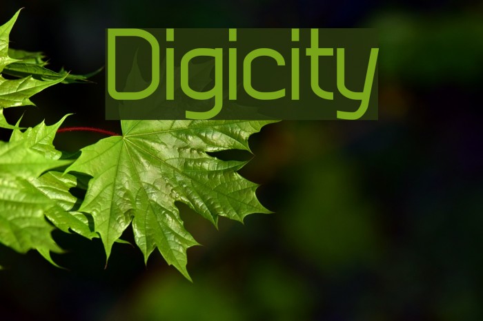 Digicity Font examples