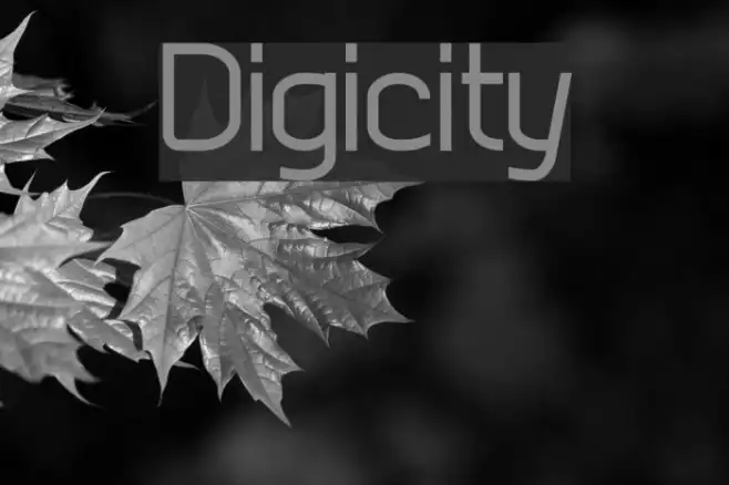 Digicity Example 1