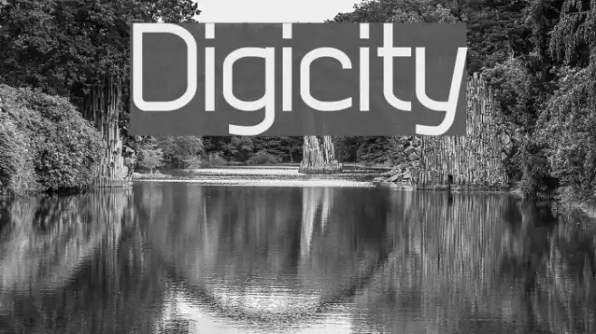 Digicity Example 2