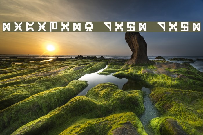 Digicode Bold Bold Example 2