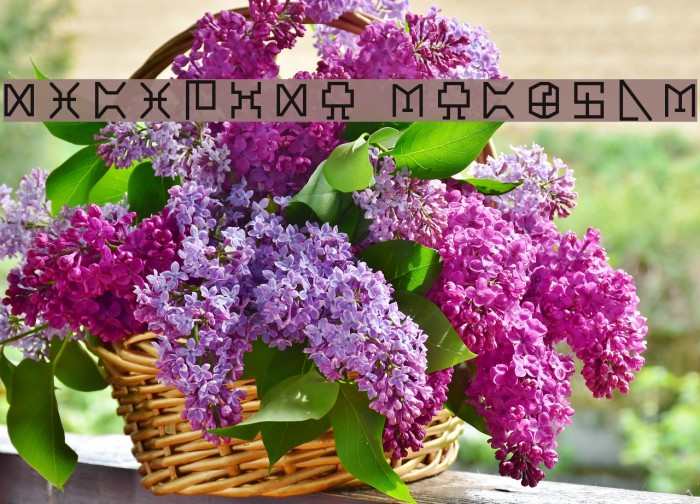 Digicode Regular Example 2