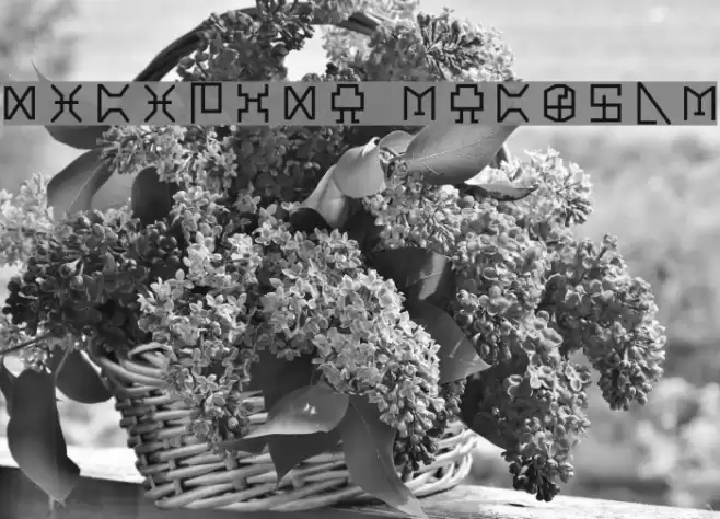 Digicode Regular Font examples