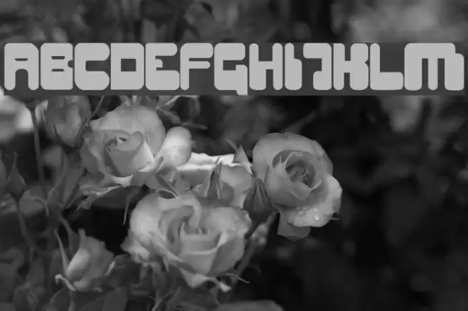 Digifit Font examples