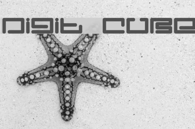 Digit Cube Example 1