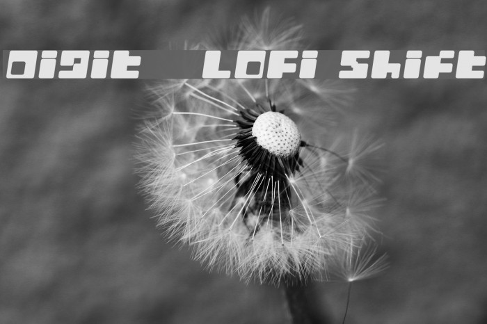 Digit LoFi Shift Font examples
