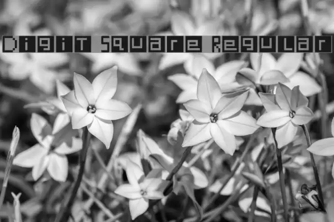 Digit Square Regular Font examples