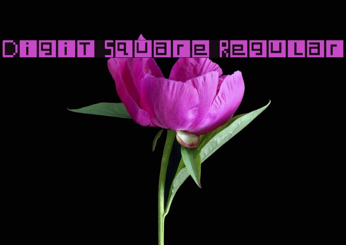 Digit Square Regular Font examples