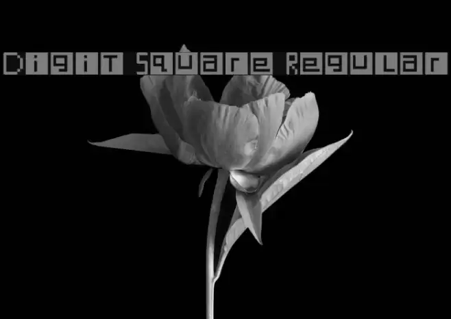 Digit Square Regular Font examples