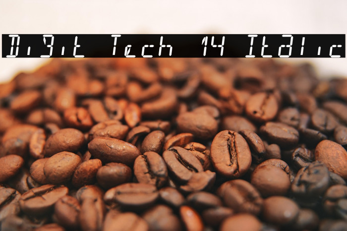 Digit Tech 14 Italic Example 1