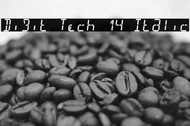 Digit Tech 14 Italic フォント examples