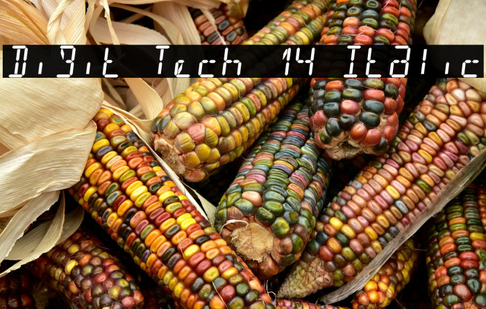 Digit Tech 14 Italic Example 3