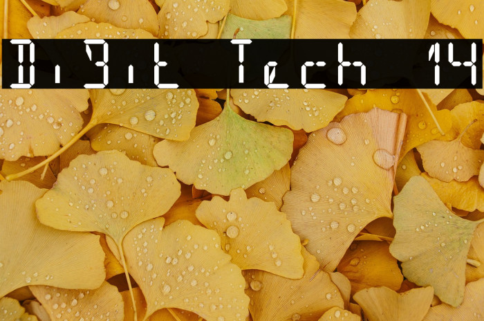 Digit Tech 14 Example 3