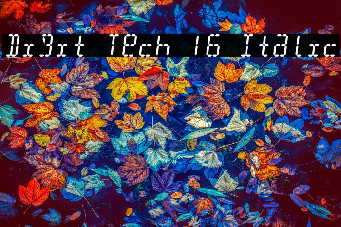 Digit Tech 16 Italic Example 1