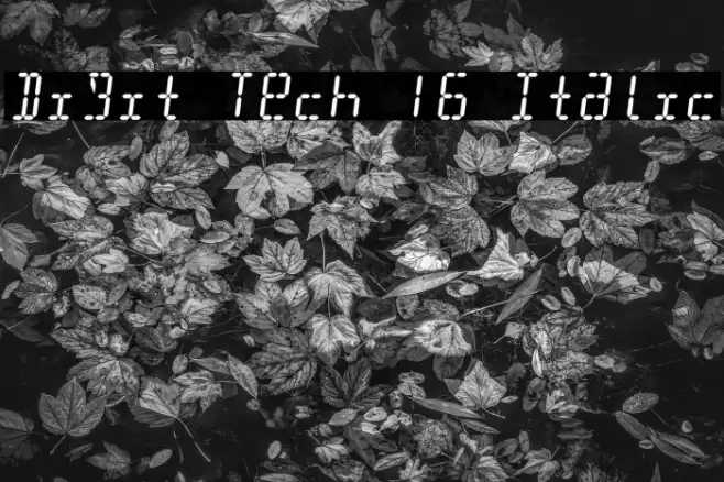 Digit Tech 16 Italic Font examples