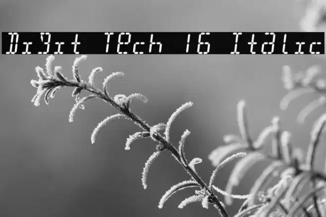 Digit Tech 16 Italic Font examples