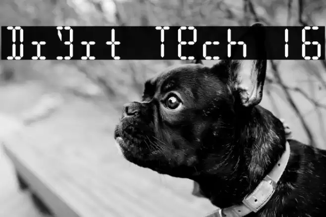 Digit Tech 16 Font examples