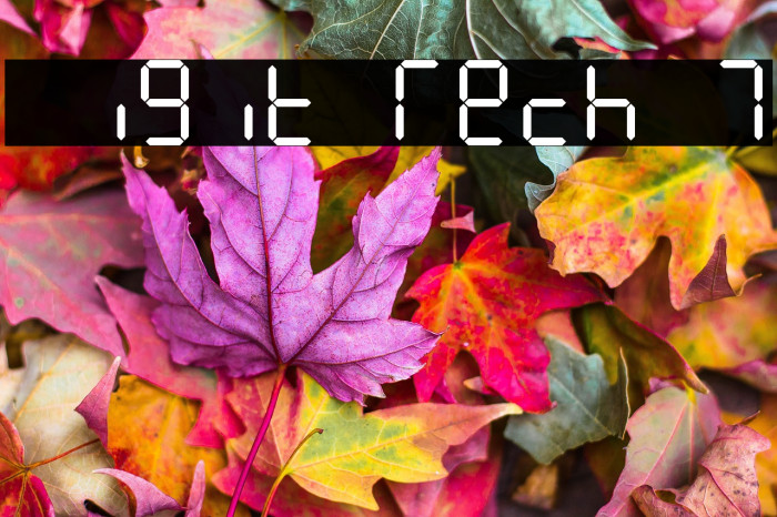 Digit Tech 7 Example 2