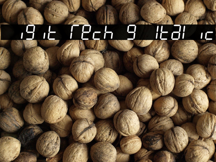 Digit Tech 9 Italic Example 1