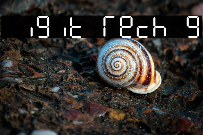 Digit Tech 9 Example 1