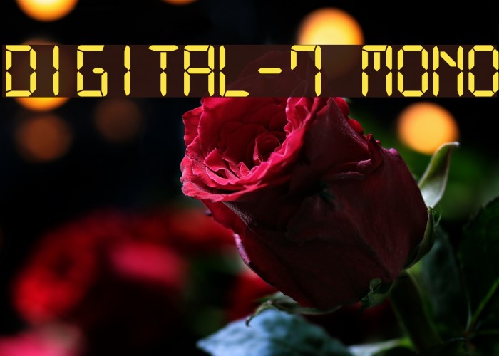 Digital-7 Mono Font examples