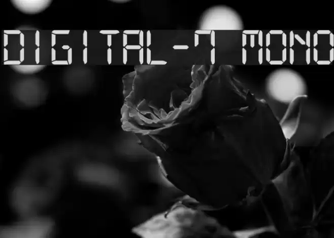 Digital-7 Mono Fuentes examples