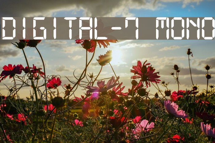Digital-7 Mono Font examples