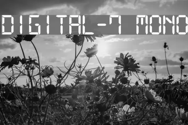 Digital-7 Mono Fuentes examples