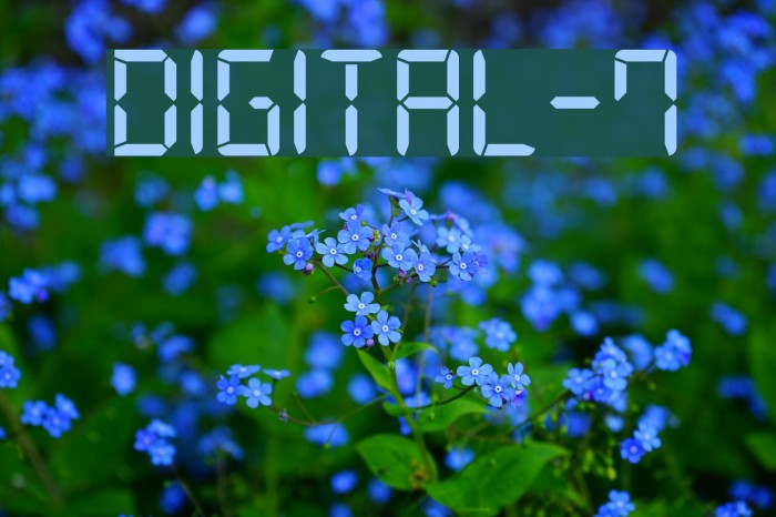 Digital-7 Шрифта examples