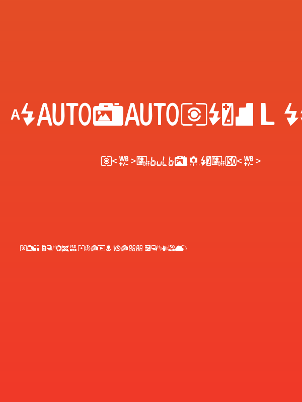 Digital Camera Symbols Poster