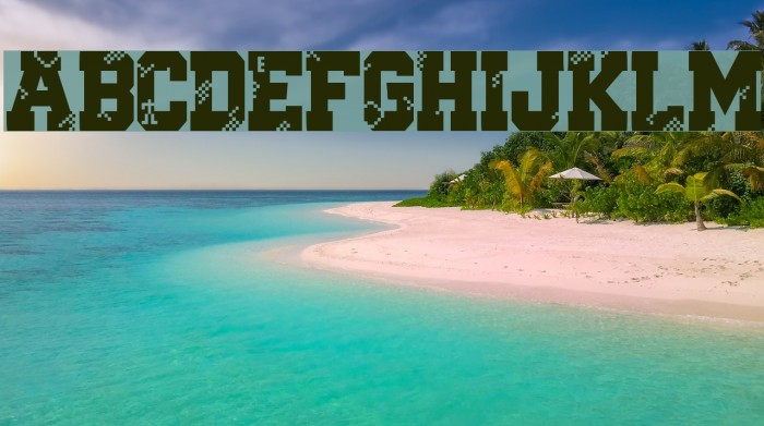 Digital College Font examples