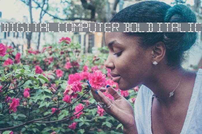 Digital Computer Bold Italic Font examples