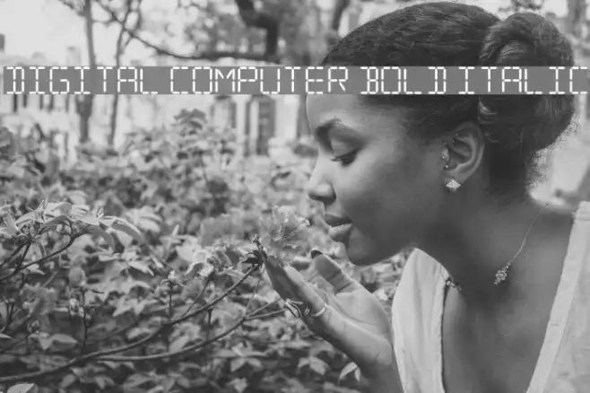 Digital Computer Bold Italic Example 1