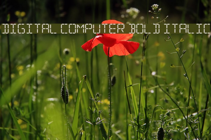 Digital Computer Bold Italic Font examples